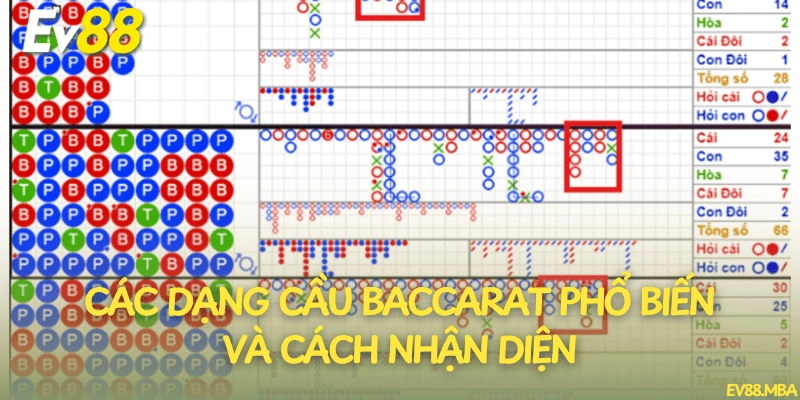 Các dạng cầu Baccarat phổ biến và cách nhận diện