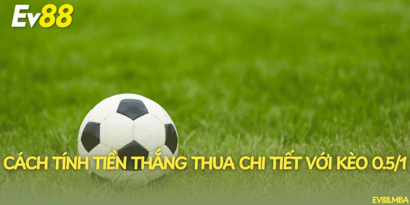 Cách tính tiền thắng thua chi tiết với kèo 0.5/1