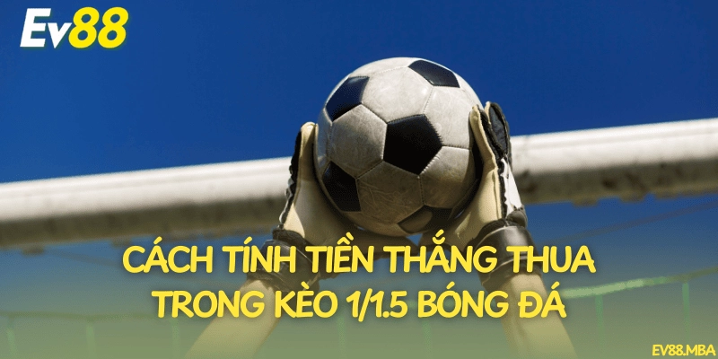 Cách tính tiền thắng thua trong kèo 1/1.5 bóng đá
