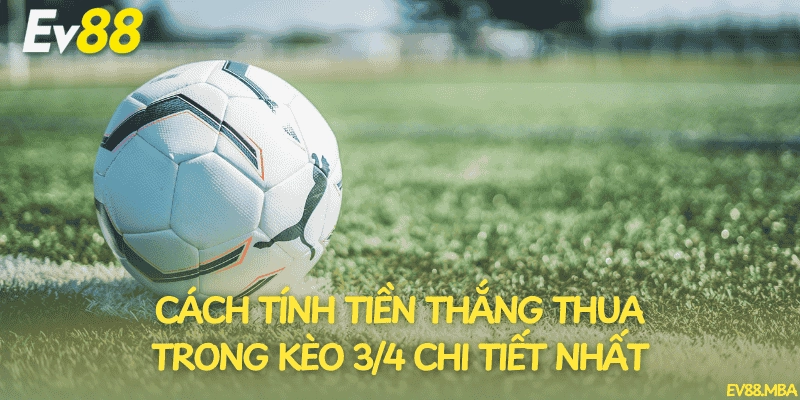 Cách tính tiền thắng thua trong kèo 3/4 chi tiết nhất