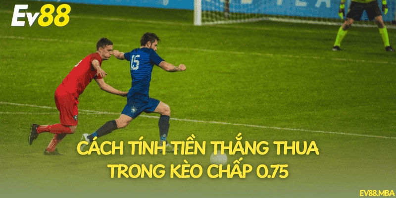 Cách tính tiền thắng thua trong kèo chấp 0.75