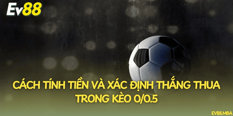 Cách tính tiền và xác định thắng thua trong kèo 0/0.5