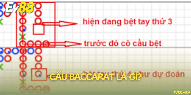 Cầu Baccarat là gì?