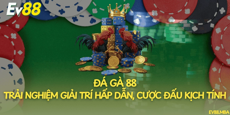 Đá Gà 88 – Trải Nghiệm Giải Trí Hấp Dẫn, Cược Đấu Kịch Tính