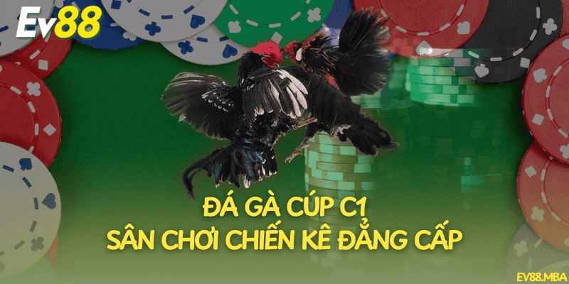 Đá Gà Cúp C1 – Sân Chơi Chiến Kê Đẳng Cấp