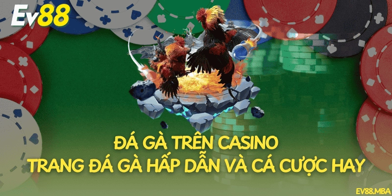 Đá Gà Trên Casino – Trang Đá Gà Hấp Dẫn Và Cá Cược Hay