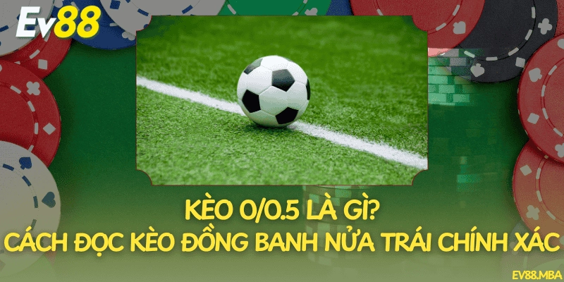 Kèo 0/0.5 Là Gì? Cách Đọc Kèo Đồng Banh Nửa Trái Chính Xác
