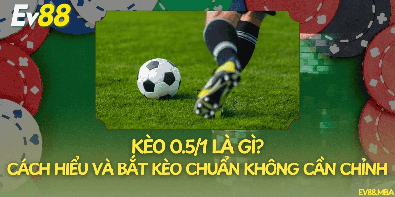 Kèo 0.5/1 Là Gì? Cách Hiểu Và Bắt Kèo Chuẩn Không Cần Chỉnh