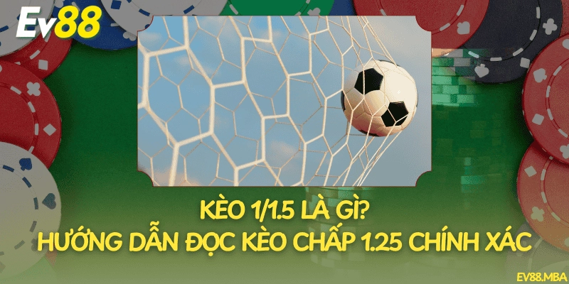 Kèo 1/1.5 Là Gì? Hướng Dẫn Đọc Kèo Chấp 1.25 Chính Xác