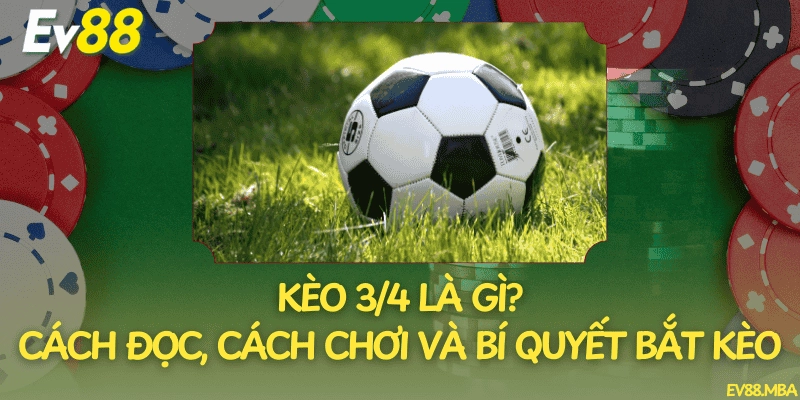 Kèo 3/4 Là Gì? Cách Đọc, Cách Chơi Và Bí Quyết Bắt Kèo