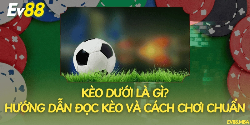 Kèo Dưới Là Gì? Hướng Dẫn Đọc Kèo Và Cách Chơi Chuẩn