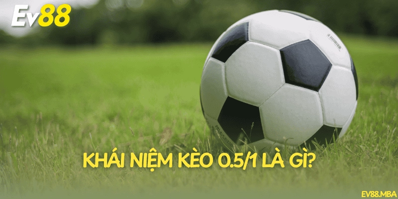 Khái niệm kèo 0.5/1 là gì?