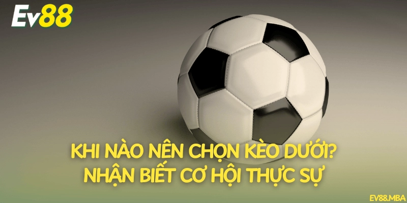 Khi nào nên chọn kèo dưới? Nhận biết cơ hội thực sự