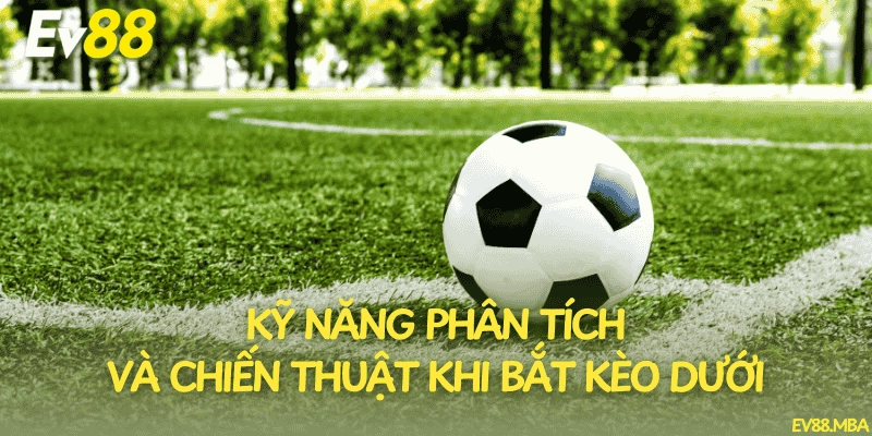 Kỹ năng phân tích và chiến thuật khi bắt kèo dưới
