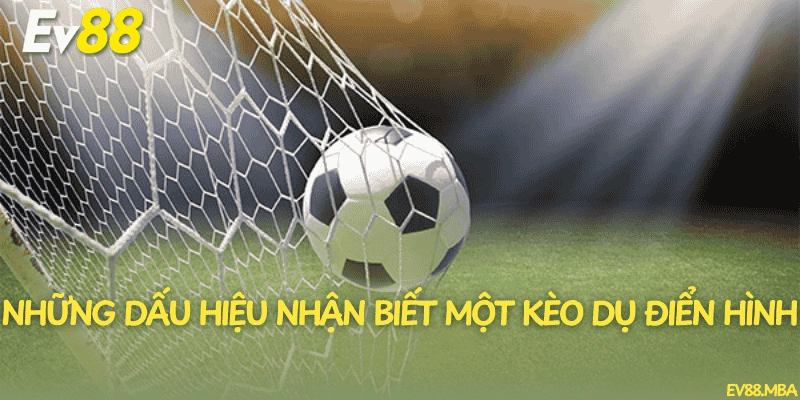 Những dấu hiệu nhận biết một kèo dụ điển hình